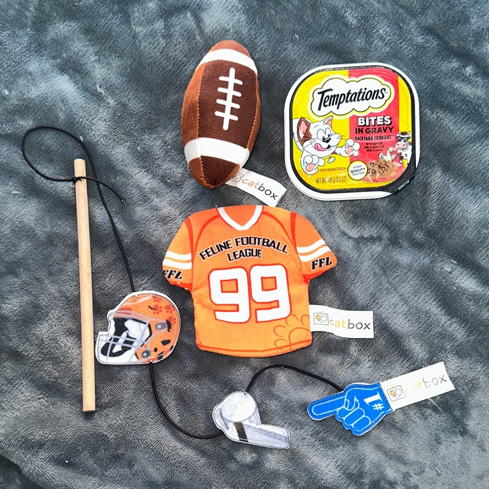 Cat Box toy set of 3 with bonus temptations bites in gravy New